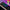 SteelSeries Apex 3 RGB Gaming Keyboard – 10-Zone RGB Illumination – IP32 Water Resistant – Premium Magnetic Wrist Rest (Whisper Quiet Gaming Switch)